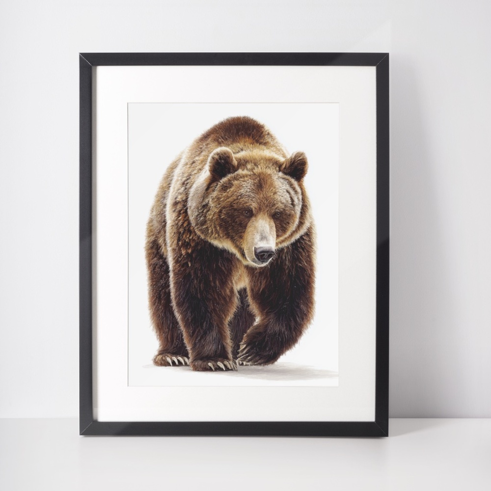Watercolor Grizzly Bear Portrait Wall Art Print Poster - Unframed Artwork - Picture 3 of 5